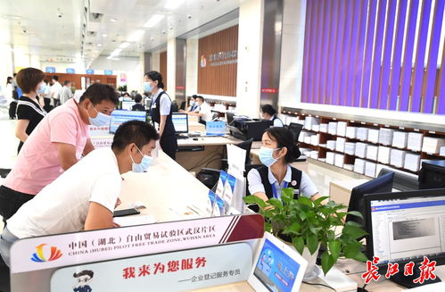 武漢市政府推動新能源技術發展，構建綠色低碳未來