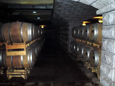 張?jiān)?guó)際葡萄酒城卡斯特酒莊好玩嗎,張?jiān)?guó)際葡萄酒城卡斯特酒莊景點(diǎn)怎么樣_點(diǎn)評(píng)_評(píng)價(jià)【攜程攻略】