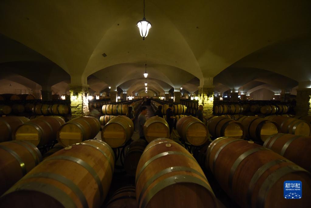 小葡萄撬動(dòng)大產(chǎn)業(yè)