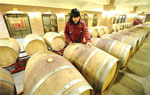 懷來 打造葡萄酒精品聚集區(qū)