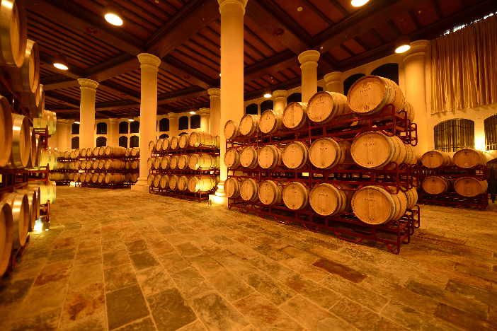 新疆對(duì)葡萄酒產(chǎn)業(yè)進(jìn)行調(diào)研