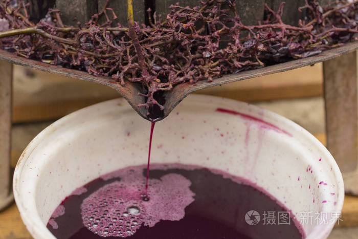 摩爾多瓦的葡萄酒生產(chǎn). 葡萄加工的古老傳統(tǒng). 榨汁機(jī)是用.