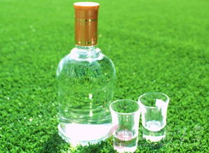 濟(jì)陽縣食藥監(jiān)局對時(shí)令食品進(jìn)行嚴(yán)格檢查